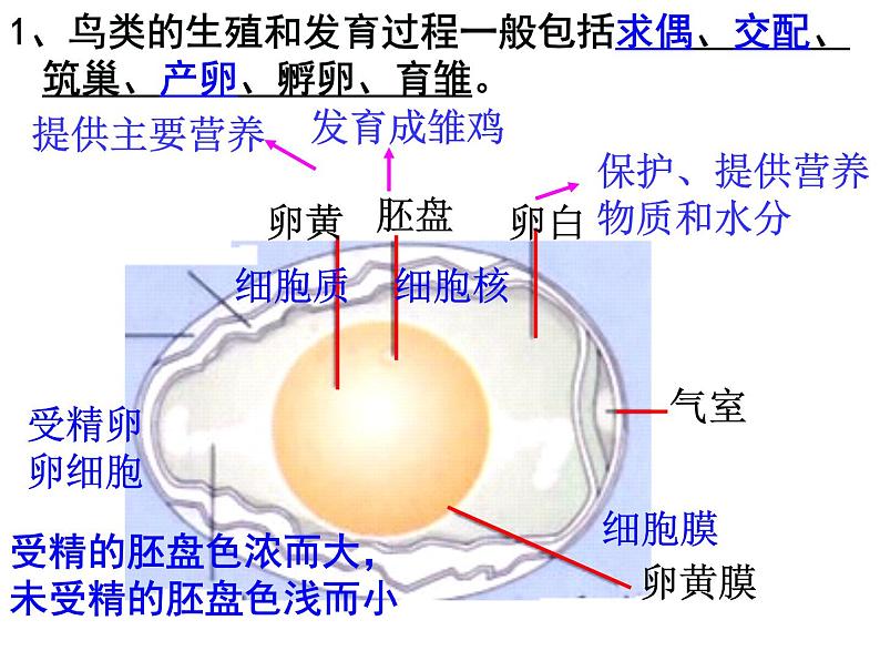 2021年中考八年级下册总复习 课件08