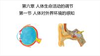 初中生物人教版 (新课标)七年级下册第一节 人体对外界环境的感知教课ppt课件