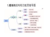 人教版七年级下册生物6.1人体对外界环境的感知 PPT课件+视频