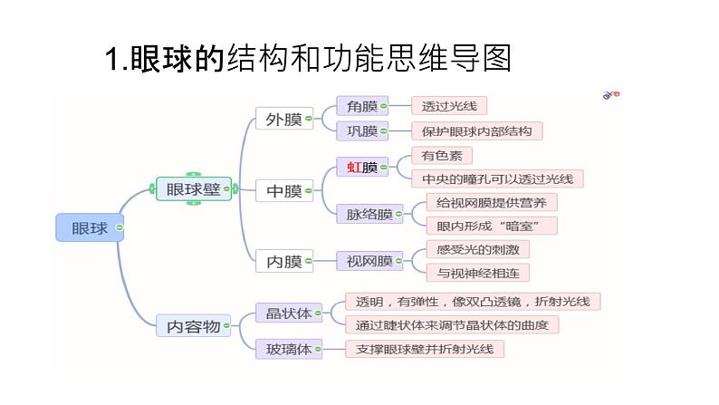 人教版七年级下册生物6.1人体对外界环境的感知 PPT课件+视频第4页