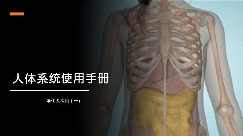 人教版七年级下册生物2.2消化和吸收 PPT课件+视频01