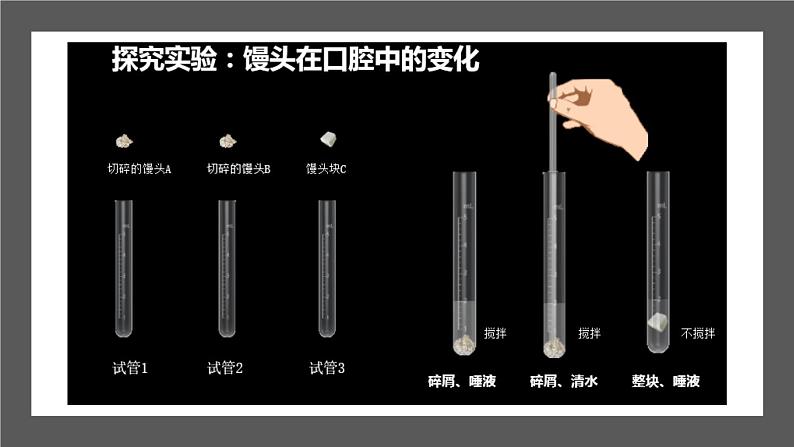 人教版七年级下册生物2.2消化和吸收 PPT课件+视频05