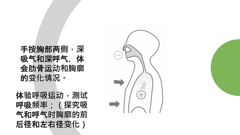 人教版七年级下册生物3.2生在肺内的气体交换 PPT课件+视频第3页