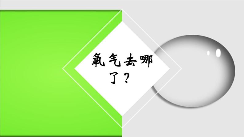 人教版七年级下册生物3.2生在肺内的气体交换 PPT课件+视频第4页