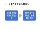 人教版七年级下册生物第五章 人体内废物的排出 PPT课件+视频