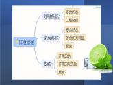 人教版七年级下册生物第五章 人体内废物的排出 PPT课件+视频