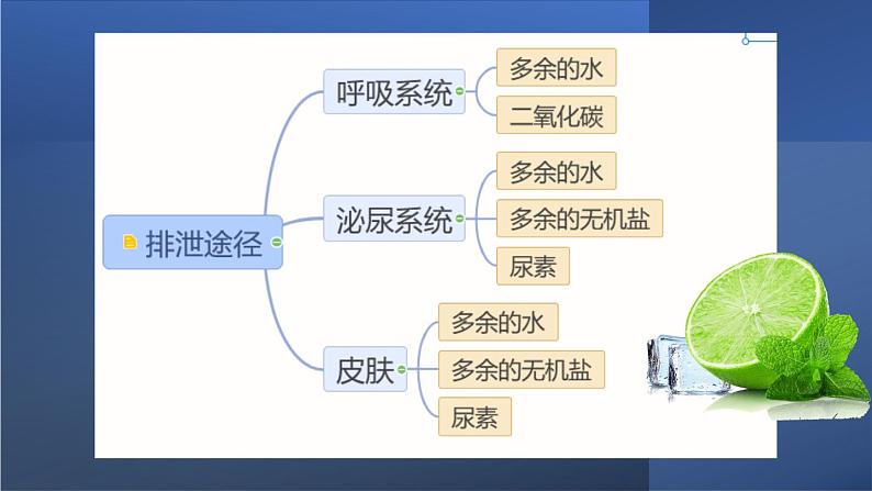 人教版七年级下册生物第五章 人体内废物的排出 PPT课件+视频第4页