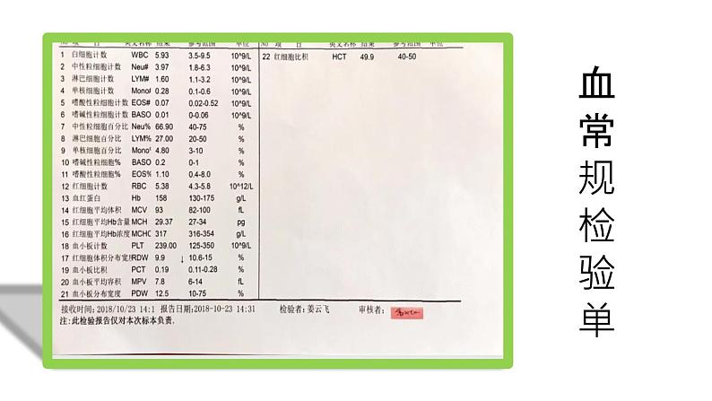 人教版七年级下册生物4.1流动的组织──血液 PPT课件+视频05