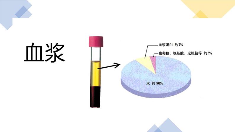 人教版七年级下册生物4.1流动的组织──血液 PPT课件+视频08