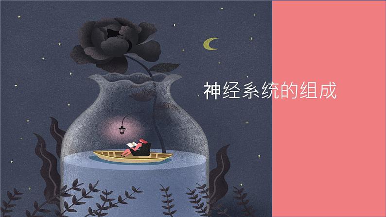 人教版七年级下册生物6.2 神经系统的组成 PPT课件+视频第1页