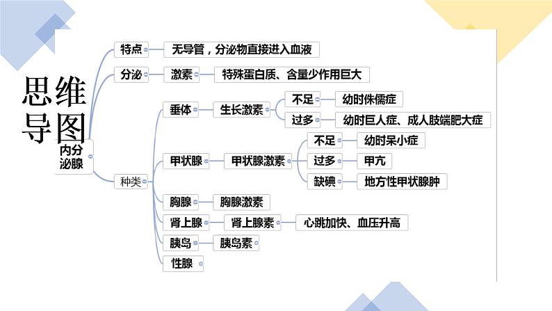 人教版七年级下册生物7.1分析人类活动对生态环境的影响 PPT课件+视频第3页