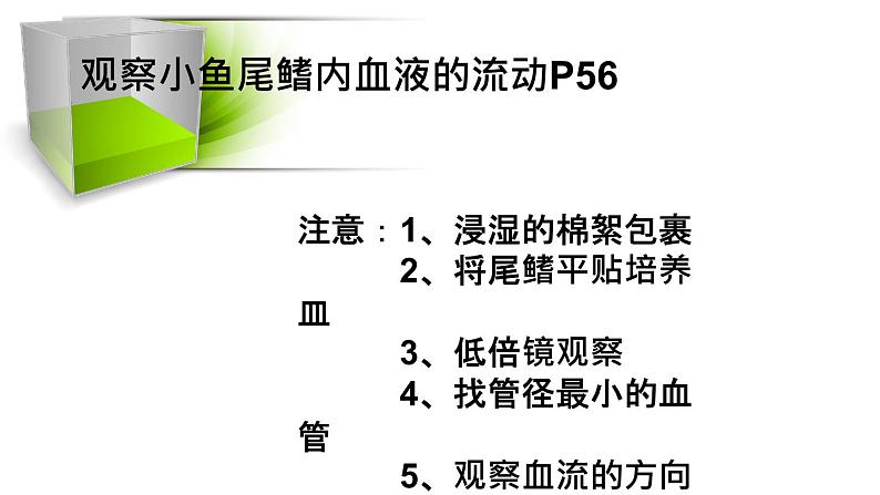 人教版七年级下册生物4.2 血流的管道──血管  PPT课件+视频03