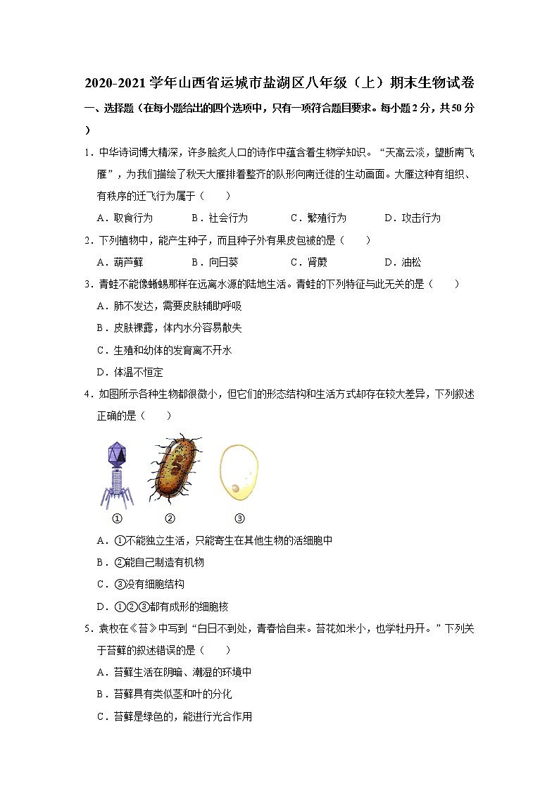 2020-2021学年山西省运城市盐湖区八年级（上）期末生物试卷     解析版01