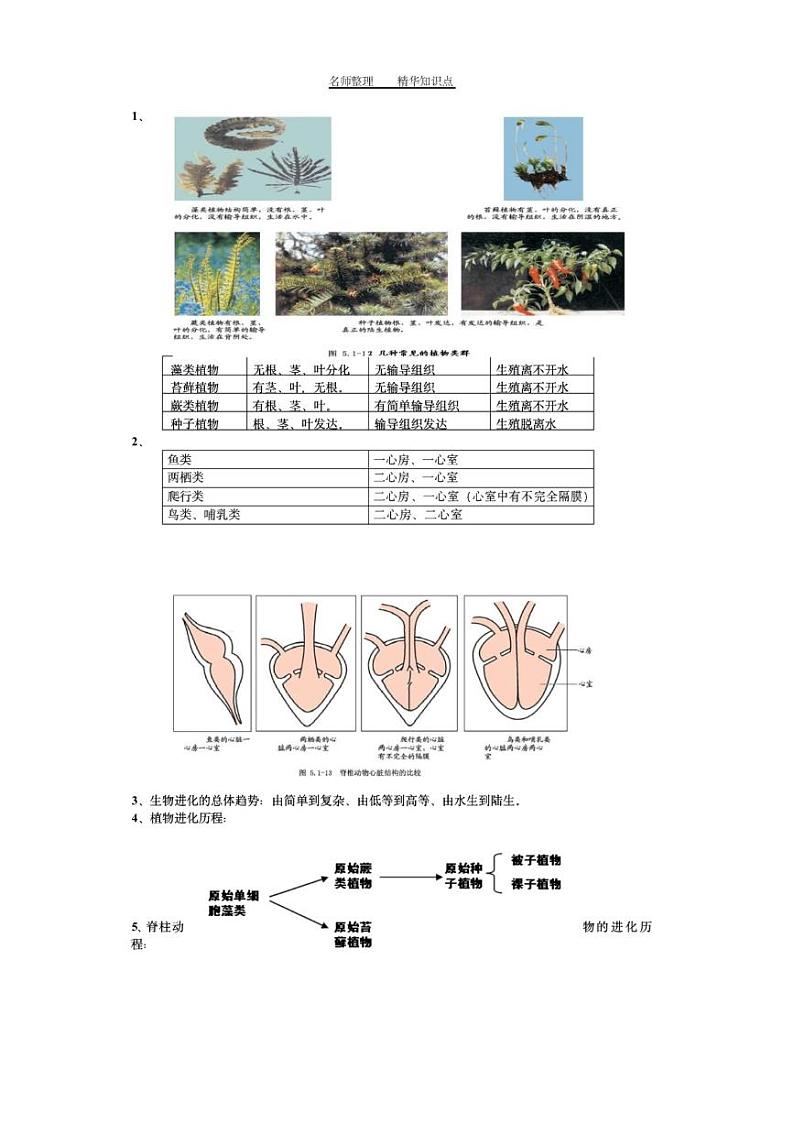苏教版八年级《生物》下册知识点汇总第2页