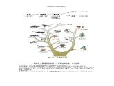 苏教版八年级《生物》下册知识点汇总