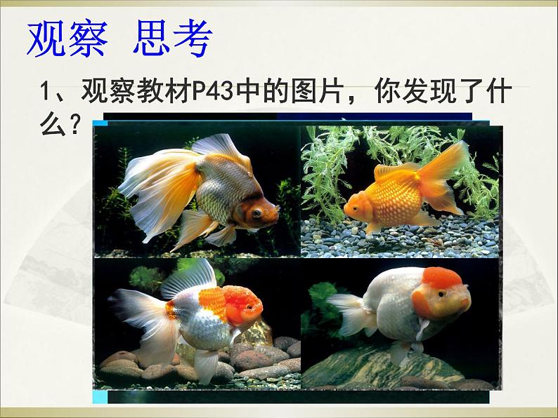 新人教版八年级下册-生物的变异(课件)第3页