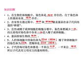 初中生物八年级下册 第七单元第二章第三节基因的显性和隐性.ppt