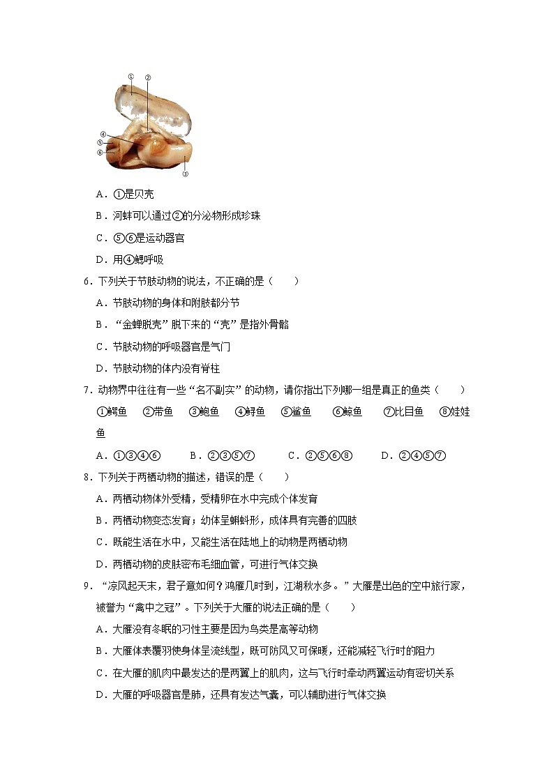 2020-2021学年四川省达州市开江县八年级（上）期末生物试卷     解析版02