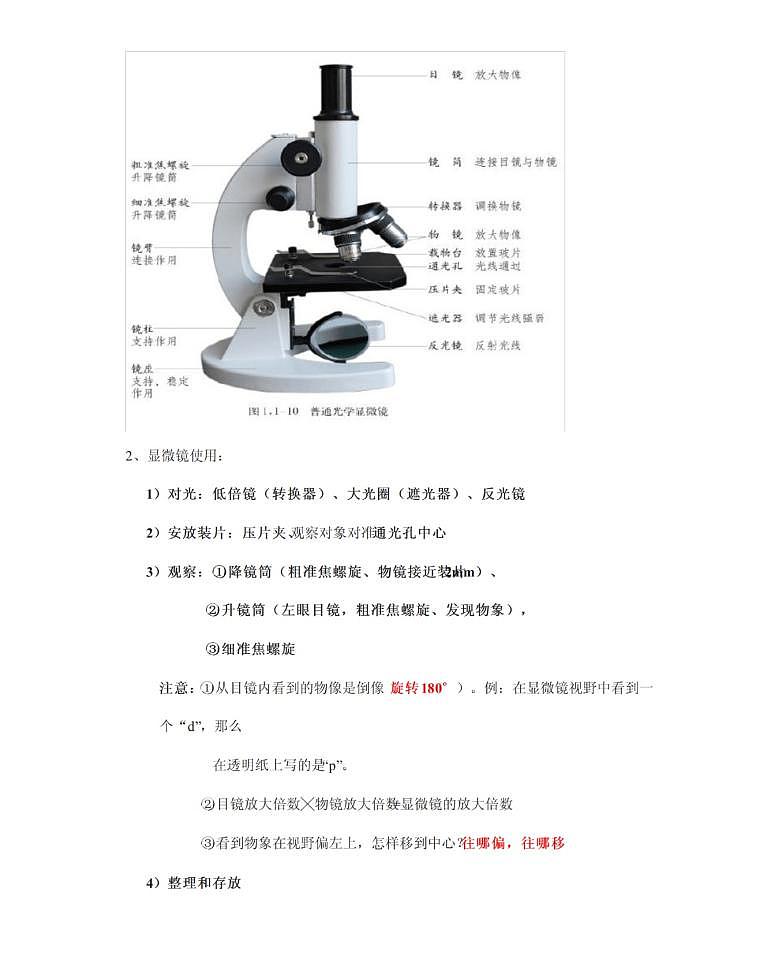 【济南版】七年级《生物》上册总复习知识要点归纳总结03