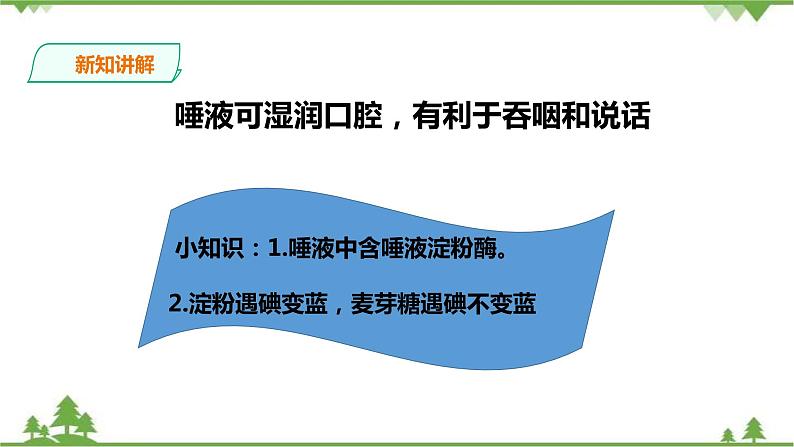 冀教版生物七下2.1.2 食物的消化（第一课时）课件+教案+练习05