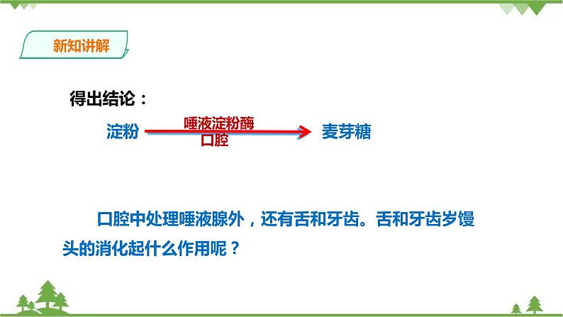 冀教版生物七下2.1.2 食物的消化（第一课时）课件+教案+练习08