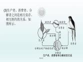 2021届生物中考复习 第2课  生态系统  课件PPT