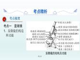 2021届生物中考复习 第3课  显微镜的使用 课件PPT