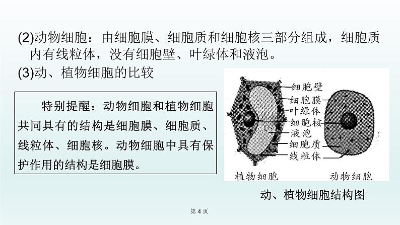 2021届生物中考复习 第4课 生物体的结构层次 课件PPT04