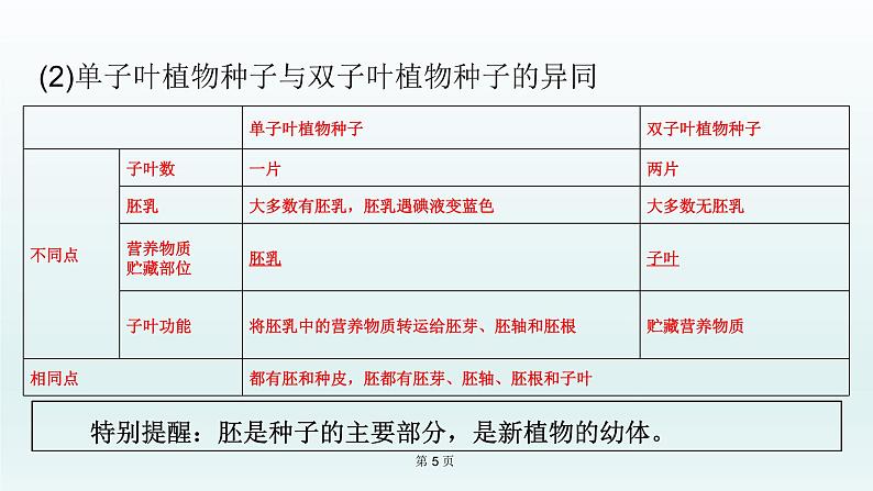 2021届生物中考复习 第6课 被子植物的一生   课件PPT05