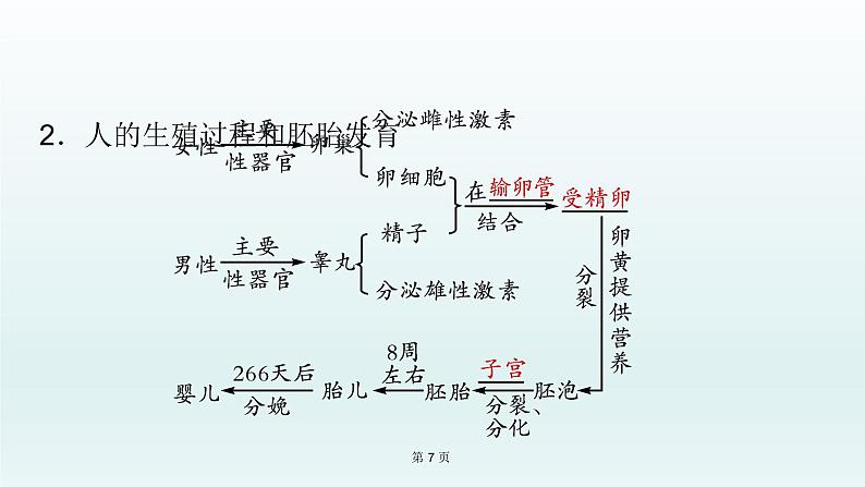 2021届生物中考复习 第9课 人的由来  课件PPT07