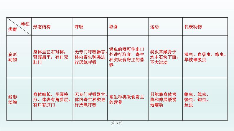 2021届生物中考复习 第15课 动物的主要类群   课件PPT03