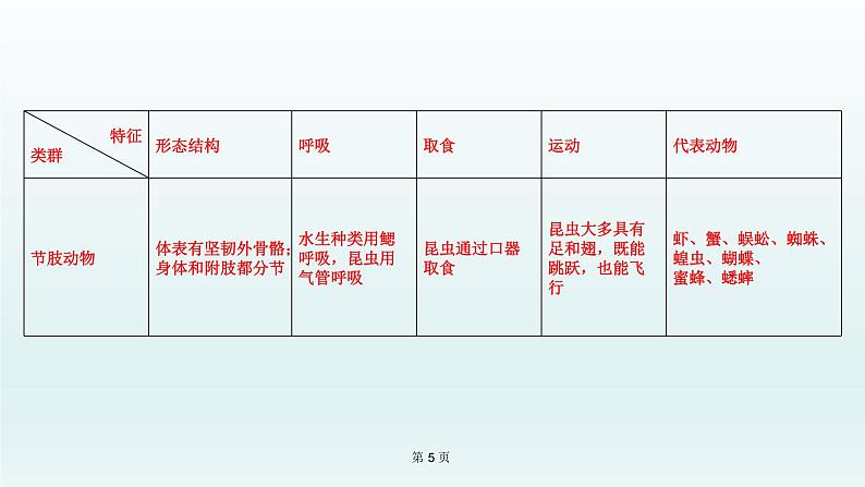 2021届生物中考复习 第15课 动物的主要类群   课件PPT05