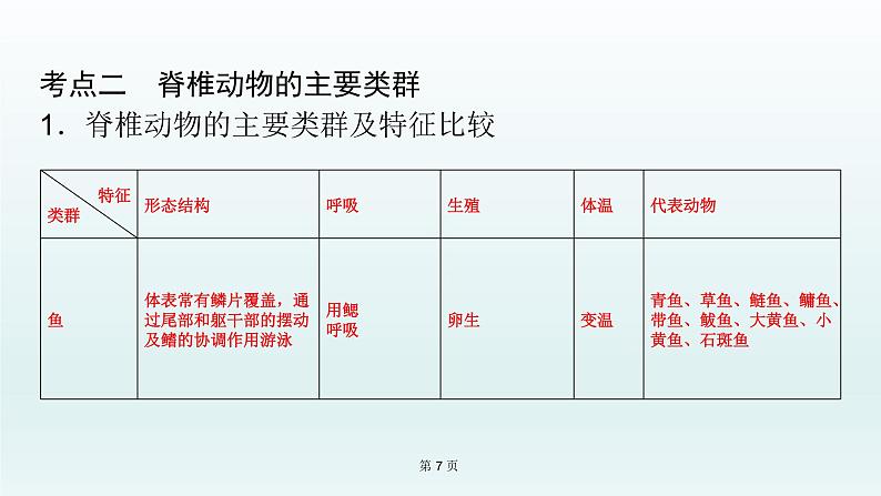 2021届生物中考复习 第15课 动物的主要类群   课件PPT07