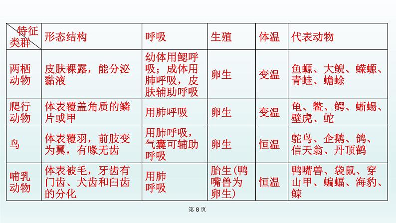 2021届生物中考复习 第15课 动物的主要类群   课件PPT08