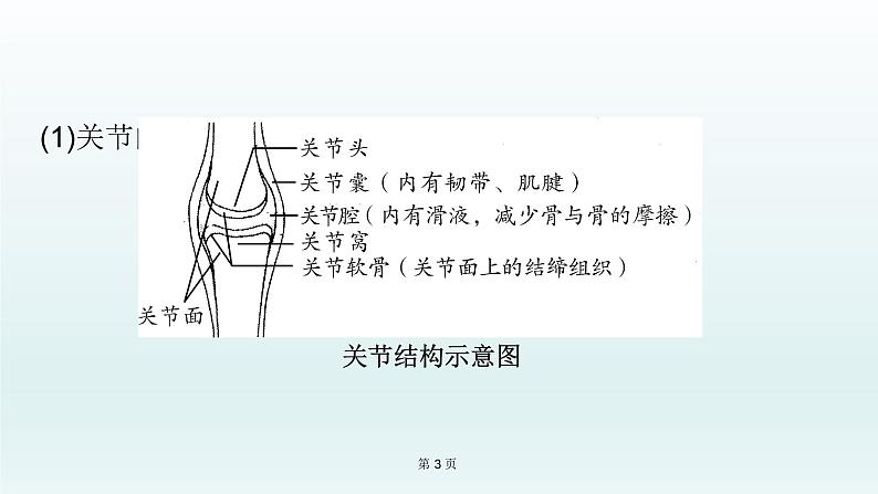 2021届生物中考复习 第16课 动物的运动和行为、 动物在生物圈中的作用 课件PPT03