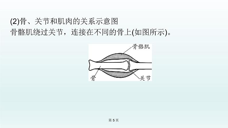 2021届生物中考复习 第16课 动物的运动和行为、 动物在生物圈中的作用 课件PPT05