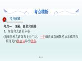 2021届生物中考复习 第17课 生物圈中的微生物 课件PPT