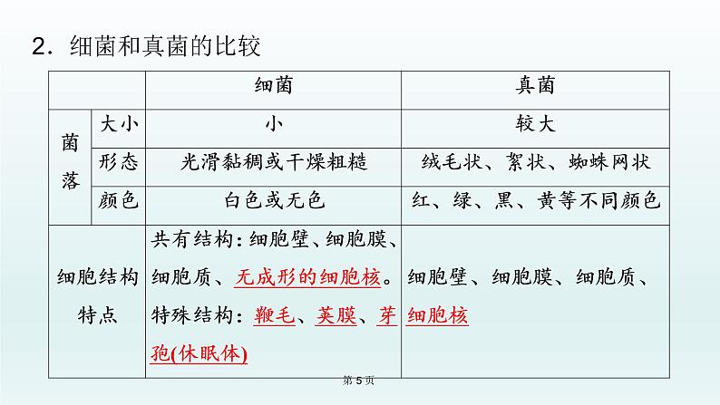 2021届生物中考复习 第17课 生物圈中的微生物 课件PPT05