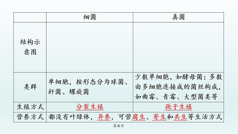 2021届生物中考复习 第17课 生物圈中的微生物 课件PPT06