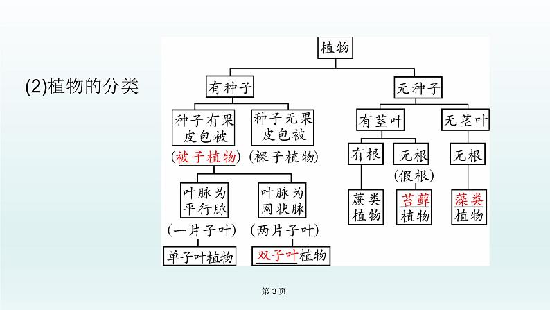 2021届生物中考复习 第18课 生物的多样性及其保护 课件PPT03