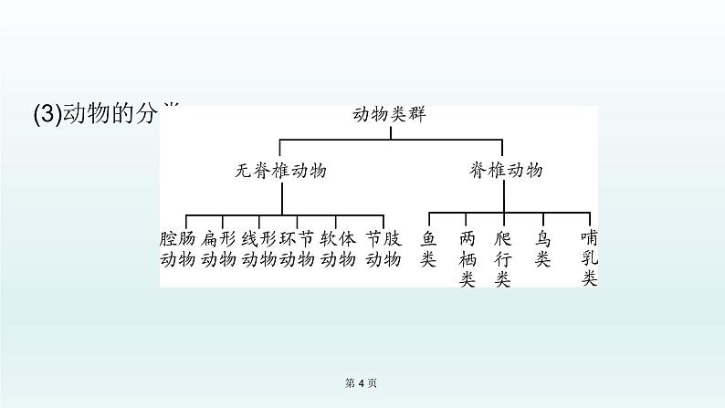 2021届生物中考复习 第18课 生物的多样性及其保护 课件PPT04