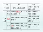 2021届生物中考复习 第19课 生物的生殖和发育 课件PPT