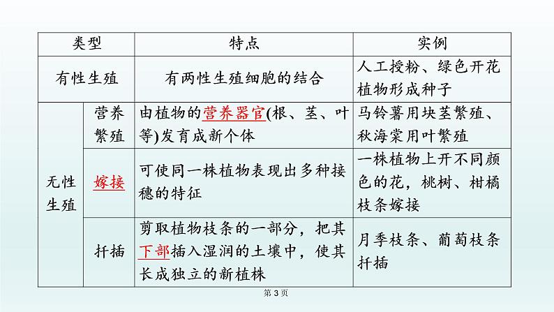 2021届生物中考复习 第19课 生物的生殖和发育 课件PPT03