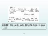 2021届生物中考复习 第21课 生命起源和生物进化 课件PPT