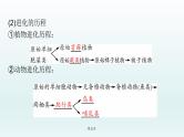 2021届生物中考复习 第21课 生命起源和生物进化 课件PPT
