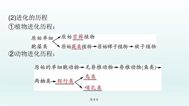 2021届生物中考复习 第21课 生命起源和生物进化 课件PPT05