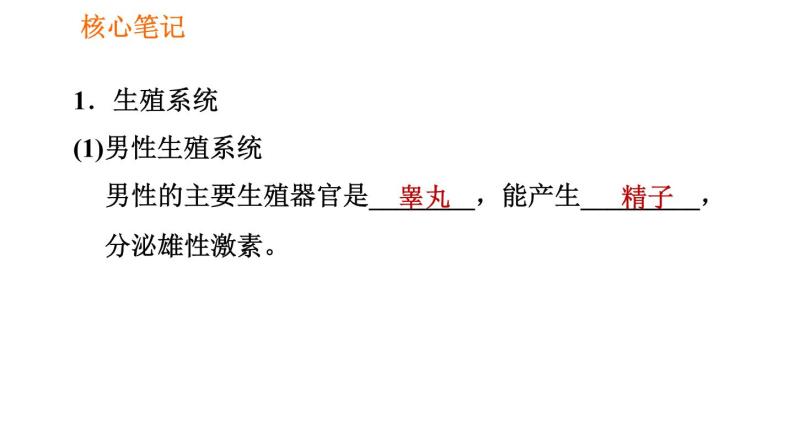 人教版七年级下册生物 4.1.2 人的生殖 复习课件PPT02