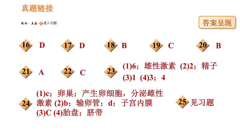 人教版七年级下册生物 4.1.2 人的生殖 复习课件PPT06