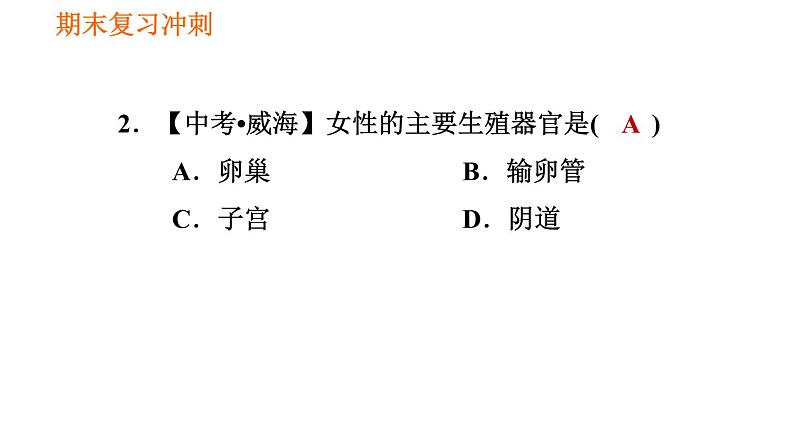 人教版七年级下册生物 4.1.2 人的生殖 复习课件PPT08