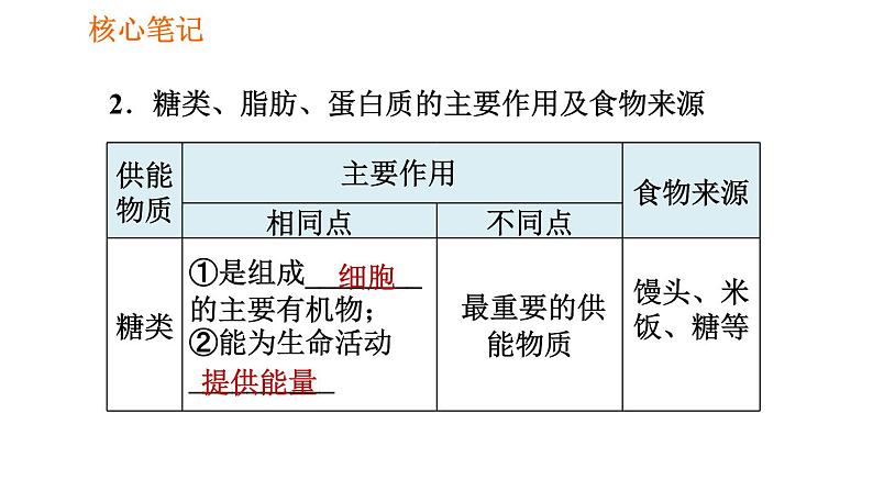 人教版七年级下册生物 4.2.1 食物中的营养物质 复习课件PPT03